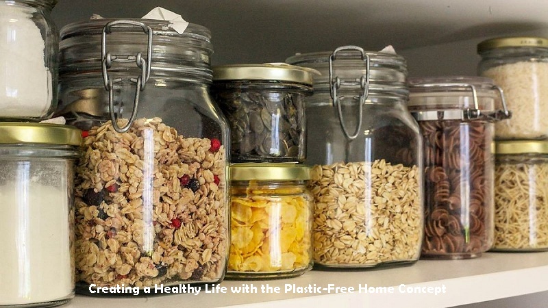 Creating a Healthy Life with the Plastic-Free Home Concept