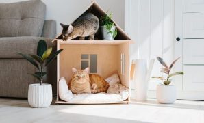 Easy and Creative DIY Room Decor with Cardboard Boxes Ideas